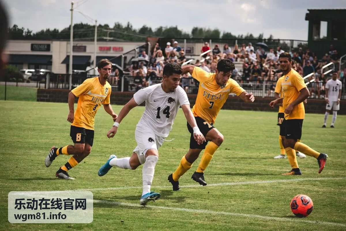乐动在线实时弹幕互动演出